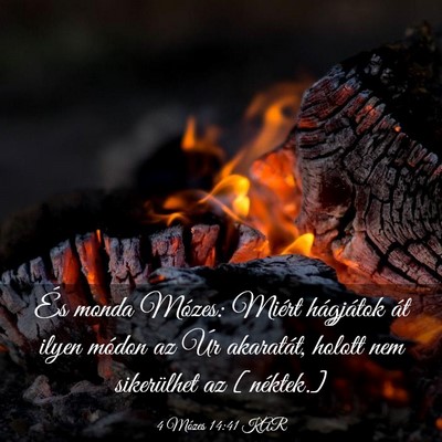 Picture 03 - 4 Mózes 14:41 KAR - És monda Mózes: Miért hágjátok át ilyen - Bible Verse Picture