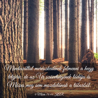 Picture 03 - 4 Mózes 14:44 KAR - Mindazáltal merészkedének felmenni a hegy - Bible Verse Picture