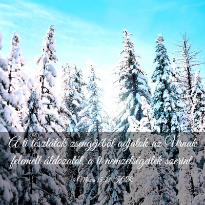Picture 03 - 4 Mózes 15:21 KAR - A ti tésztátok zsengéjébõl adjatok az Úrnak - Bible Verse Picture
