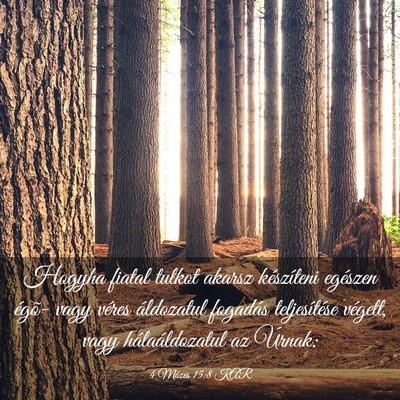 Picture 03 - 4 Mózes 15:8 KAR - Hogyha fiatal tulkot akarsz készíteni egészen - Bible Verse Picture