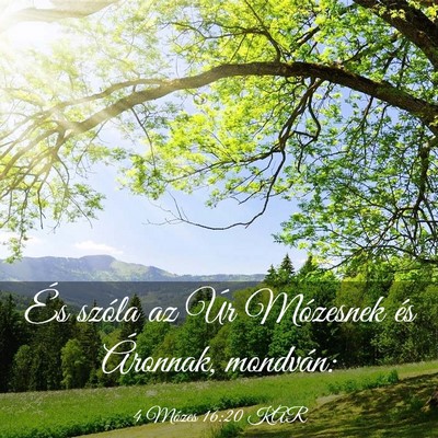 Picture 03 - 4 Mózes 16:20 KAR - És szóla az Úr Mózesnek és Áronnak, - Bible Verse Picture