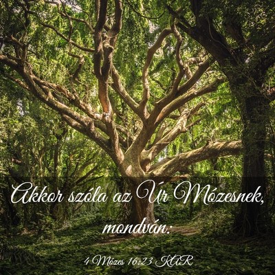 Picture 03 - 4 Mózes 16:23 KAR - Akkor szóla az Úr Mózesnek, - Bible Verse Picture