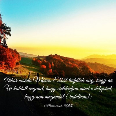 Picture 03 - 4 Mózes 16:28 KAR - Akkor monda Mózes: Ebbõl tudjátok meg, hogy az - Bible Verse Picture