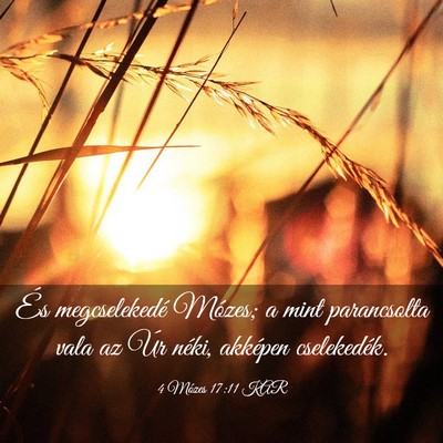 Picture 03 - 4 Mózes 17:11 KAR - És megcselekedé Mózes; a mint parancsolta vala - Bible Verse Picture