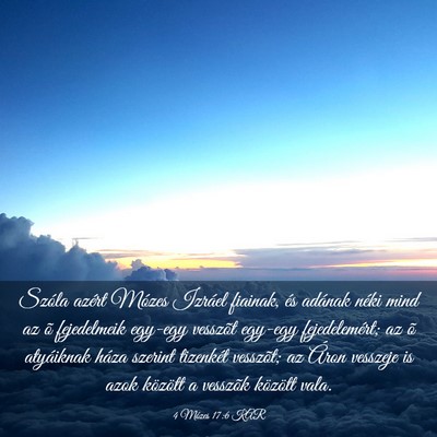 Picture 03 - 4 Mózes 17:6 KAR - Szóla azért Mózes Izráel fiainak, és adának - Bible Verse Picture