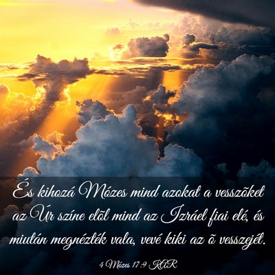 Picture 03 - 4 Mózes 17:9 KAR - És kihozá Mózes mind azokat a vesszõket az - Bible Verse Picture
