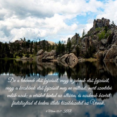 Picture 03 - 4 Mózes 18:17 KAR - De a tehénnek elsõ fajzását, vagy a juhnak - Bible Verse Picture