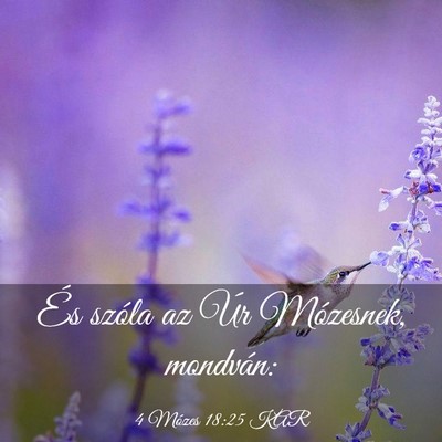 Picture 03 - 4 Mózes 18:25 KAR - És szóla az Úr Mózesnek, - Bible Verse Picture