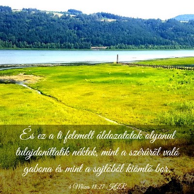 Picture 03 - 4 Mózes 18:27 KAR - És ez a ti felemelt áldozatotok olyanul - Bible Verse Picture