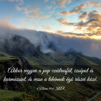 Picture 03 - 4 Mózes 19:6 KAR - Akkor vegyen a pap czédrusfát, izsópot és - Bible Verse Picture