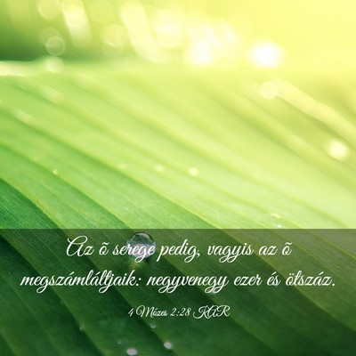 Picture 03 - 4 Mózes 2:28 KAR - Az õ serege pedig, vagyis az õ - Bible Verse Picture