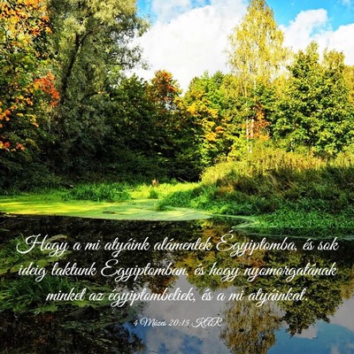 Picture 03 - 4 Mózes 20:15 KAR - Hogy a mi atyáink alámentek Égyiptomba, és - Bible Verse Picture