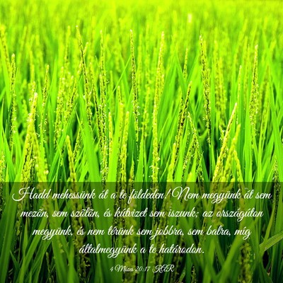 Picture 03 - 4 Mózes 20:17 KAR - Hadd mehessünk át a te földeden! Nem megyünk - Bible Verse Picture