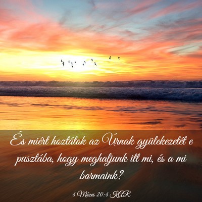 Picture 03 - 4 Mózes 20:4 KAR - És miért hoztátok az Úrnak gyülekezetét e - Bible Verse Picture