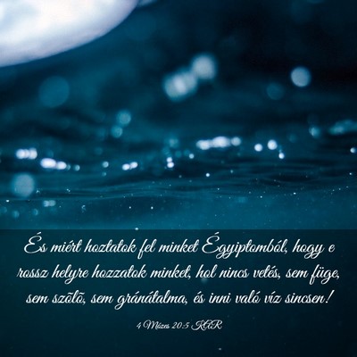 Picture 03 - 4 Mózes 20:5 KAR - És miért hoztatok fel minket Égyiptomból, - Bible Verse Picture