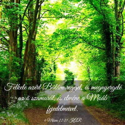 Picture 03 - 4 Mózes 22:21 KAR - Felkele azért Bálám reggel, és megnyergelé - Bible Verse Picture