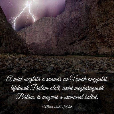 Picture 03 - 4 Mózes 22:27 KAR - A mint meglátá a szamár az Úrnak angyalát, - Bible Verse Picture