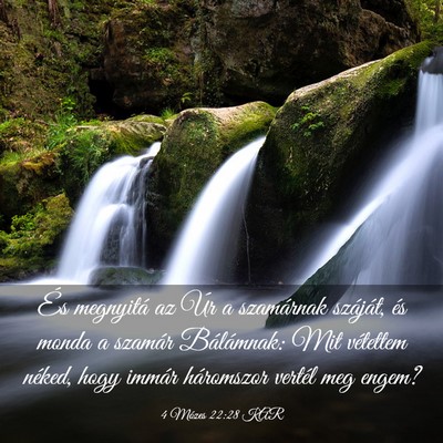 Picture 03 - 4 Mózes 22:28 KAR - És megnyitá az Úr a szamárnak száját, és - Bible Verse Picture