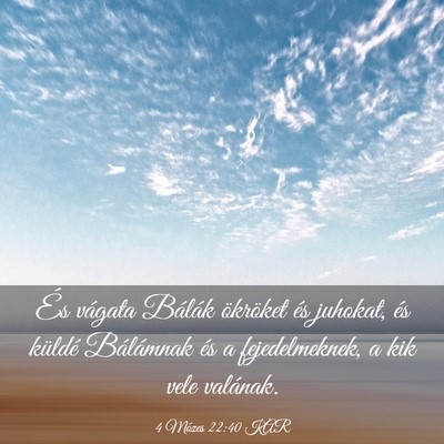 Picture 03 - 4 Mózes 22:40 KAR - És vágata Bálák ökröket és juhokat, és - Bible Verse Picture