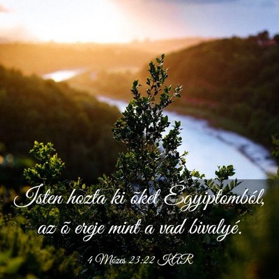 Picture 03 - 4 Mózes 23:22 KAR - Isten hozta ki õket Égyiptomból, az õ ereje - Bible Verse Picture