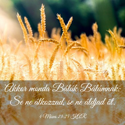 Picture 03 - 4 Mózes 23:25 KAR - Akkor monda Bálák Bálámnak: Se ne átkozzad, - Bible Verse Picture