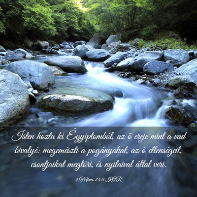 Picture 03 - 4 Mózes 24:8 KAR - Isten hozta ki Égyiptomból, az õ ereje mint a - Bible Verse Picture