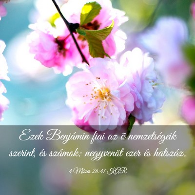 Picture 03 - 4 Mózes 26:41 KAR - Ezek Benjámin fiai az õ nemzetségeik szerint, - Bible Verse Picture