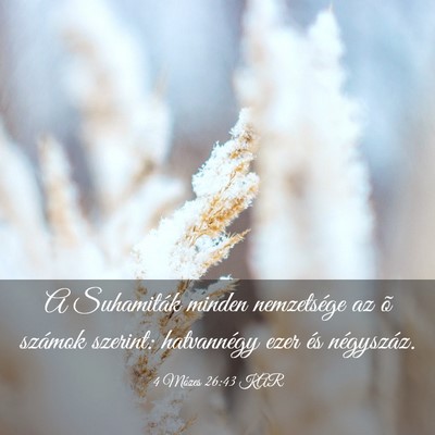 Picture 03 - 4 Mózes 26:43 KAR - A Suhamiták minden nemzetsége az õ számok - Bible Verse Picture
