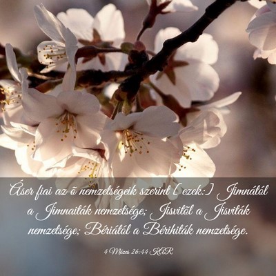 Picture 03 - 4 Mózes 26:44 KAR - Áser fiai az õ nemzetségeik szerint [ezek:] - Bible Verse Picture