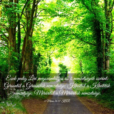 Picture 03 - 4 Mózes 26:57 KAR - Ezek pedig Lévi megszámláltjai az õ - Bible Verse Picture