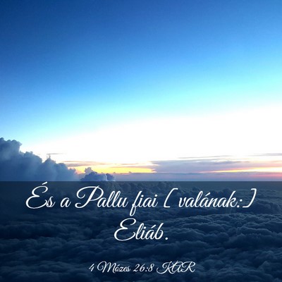Picture 03 - 4 Mózes 26:8 KAR - És a Pallu fiai [valának:] - Bible Verse Picture