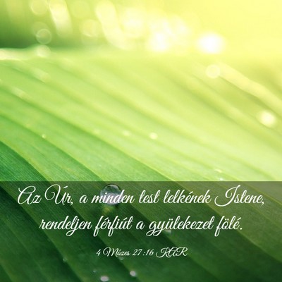 Picture 03 - 4 Mózes 27:16 KAR - Az Úr, a minden test lelkének Istene, rendeljen - Bible Verse Picture