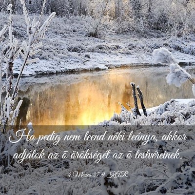 Picture 03 - 4 Mózes 27:9 KAR - Ha pedig nem leend néki leánya, akkor adjátok - Bible Verse Picture