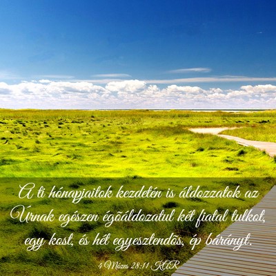 Picture 03 - 4 Mózes 28:11 KAR - A ti hónapjaitok kezdetén is áldozzatok az - Bible Verse Picture