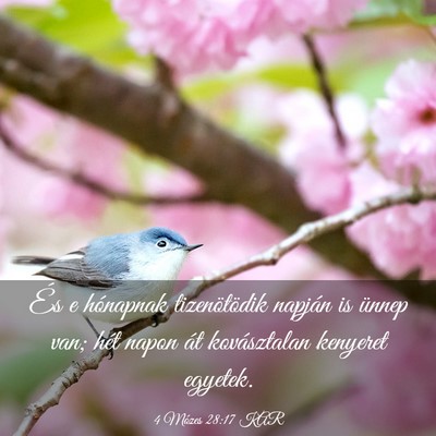 Picture 03 - 4 Mózes 28:17 KAR - És e hónapnak tizenötödik napján is ünnep - Bible Verse Picture