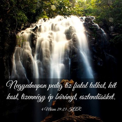 Picture 03 - 4 Mózes 29:23 KAR - Negyednapon pedig tíz fiatal tulkot, két kost, - Bible Verse Picture