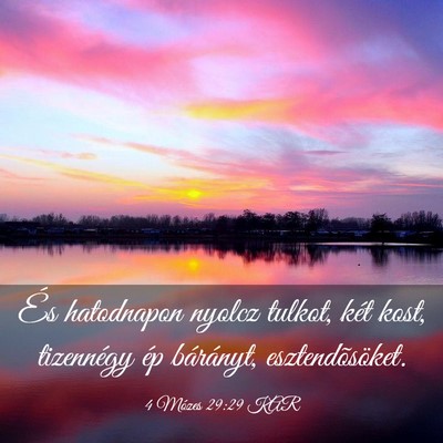 Picture 03 - 4 Mózes 29:29 KAR - És hatodnapon nyolcz tulkot, két kost, - Bible Verse Picture