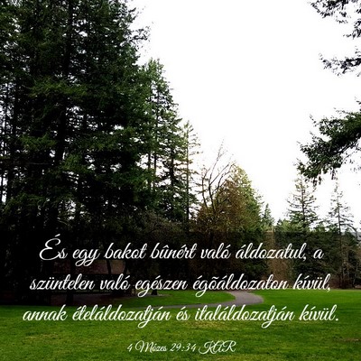 Picture 03 - 4 Mózes 29:34 KAR - És egy bakot bûnért való áldozatul, a - Bible Verse Picture