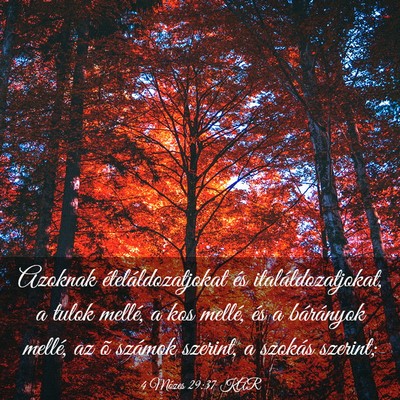 Picture 03 - 4 Mózes 29:37 KAR - Azoknak ételáldozatjokat és italáldozatjokat, - Bible Verse Picture