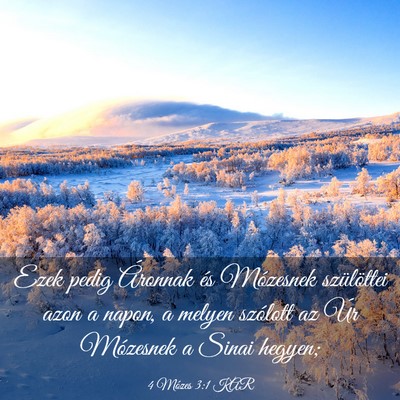 Picture 03 - 4 Mózes 3:1 KAR - Ezek pedig Áronnak és Mózesnek szülöttei - Bible Verse Picture