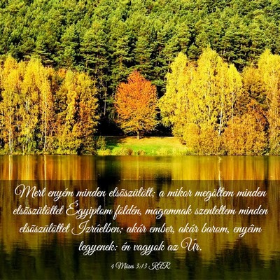Picture 03 - 4 Mózes 3:13 KAR - Mert enyém minden elsõszülött; a mikor - Bible Verse Picture