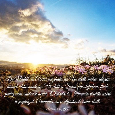 Picture 03 - 4 Mózes 3:4 KAR - De Nádáb és Abihú meghala az Úr elõtt, - Bible Verse Picture