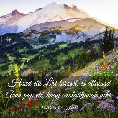 Picture 03 - 4 Mózes 3:6 KAR - Hozd elõ Lévi törzsét, és állassad Áron - Bible Verse Picture
