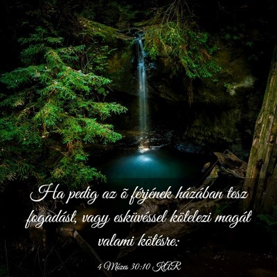 Picture 03 - 4 Mózes 30:10 KAR - Ha pedig az õ férjének házában tesz - Bible Verse Picture