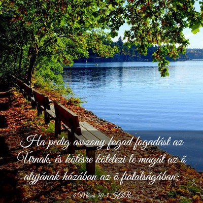 Picture 03 - 4 Mózes 30:3 KAR - Ha pedig asszony fogad fogadást az Úrnak, és - Bible Verse Picture