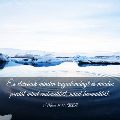 Picture 03 - 4 Mózes 31:11 KAR - És elvivének minden ragadományt és minden - Bible Verse Picture