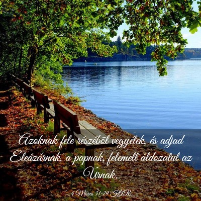 Picture 03 - 4 Mózes 31:29 KAR - Azoknak fele részébõl vegyétek, és adjad - Bible Verse Picture