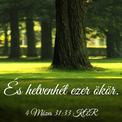 Picture 03 - 4 Mózes 31:33 KAR - És hetvenhét ezer - Bible Verse Picture