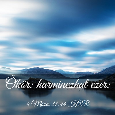 Picture 03 - 4 Mózes 31:44 KAR - Ökör: harminczhat - Bible Verse Picture