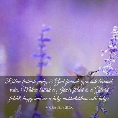 Picture 03 - 4 Mózes 32:1 KAR - Rúben fiainak pedig és Gád fiainak igen sok - Bible Verse Picture
